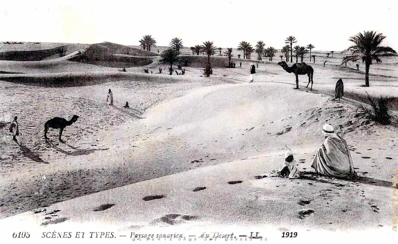 Algerie - Paysage Saharien - 1919.jpg